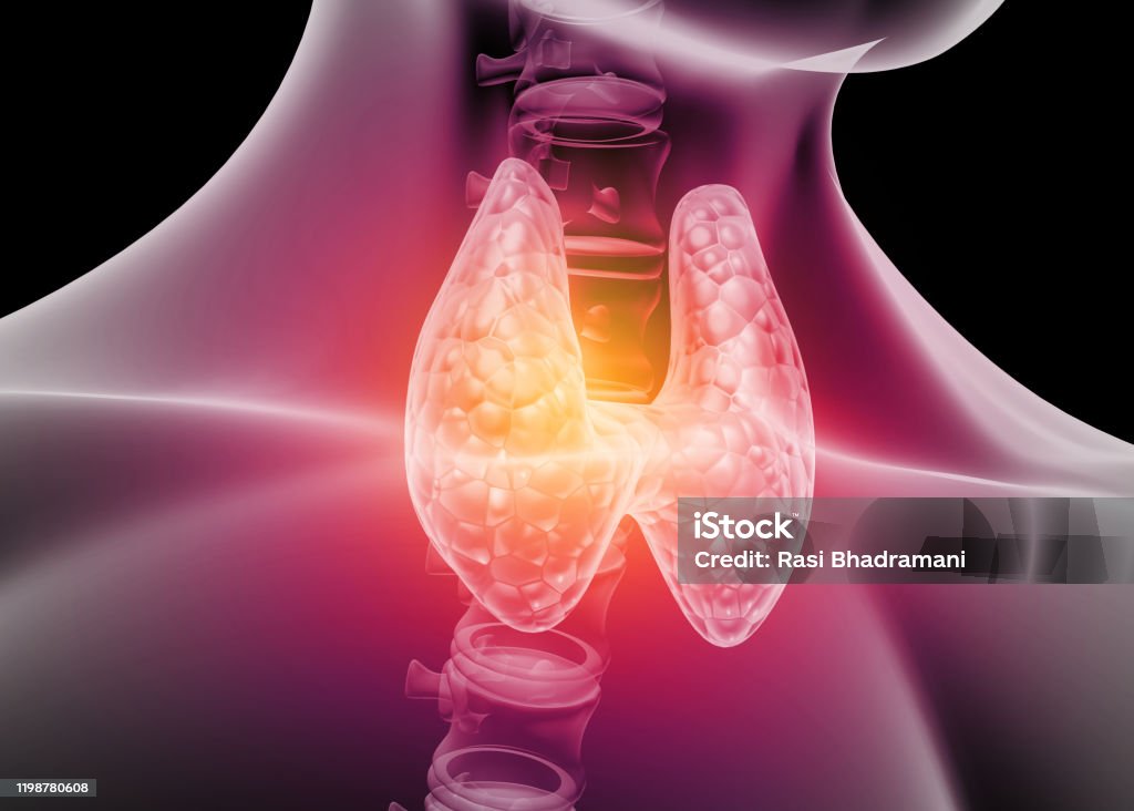 Thyroid Health